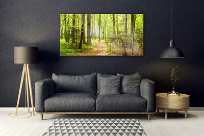 Quadro in vetro Percorso naturalistico della foresta