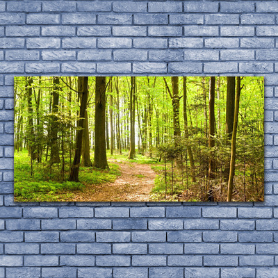 Quadro in vetro Percorso naturalistico della foresta