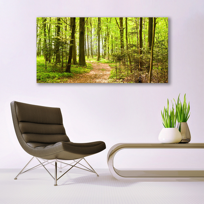 Quadro in vetro Percorso naturalistico della foresta