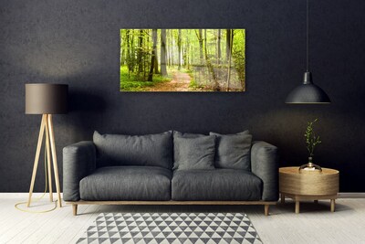 Quadro in vetro Percorso naturalistico della foresta