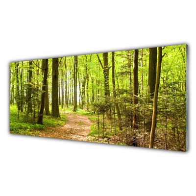 Quadro in vetro Percorso naturalistico della foresta