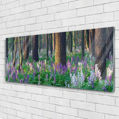 Quadro in vetro Foresta Alberi Natura