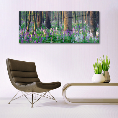 Quadro in vetro Foresta Alberi Natura