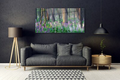 Quadro in vetro Foresta Alberi Natura