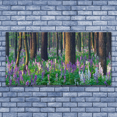 Quadro in vetro Foresta Alberi Natura