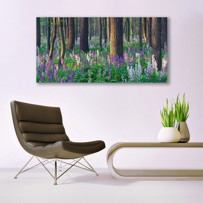 Quadro in vetro Foresta Alberi Natura