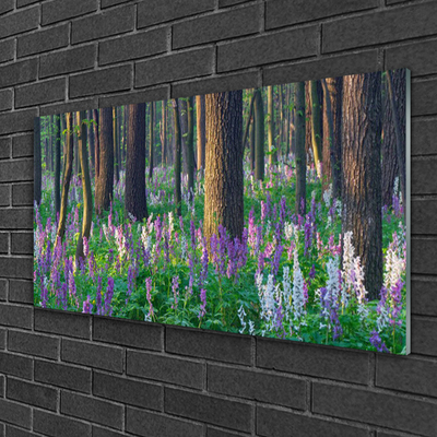 Quadro in vetro Foresta Alberi Natura