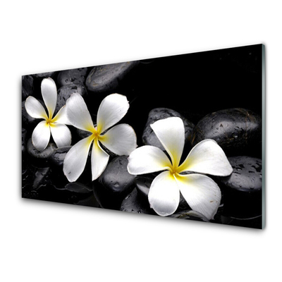 Quadro vetro Pianta di fiori di plumeria