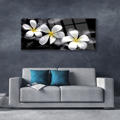 Quadro vetro Pianta di fiori di plumeria