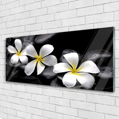 Quadro vetro Pianta di fiori di plumeria