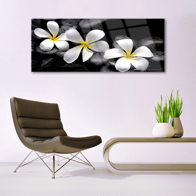 Quadro vetro Pianta di fiori di plumeria