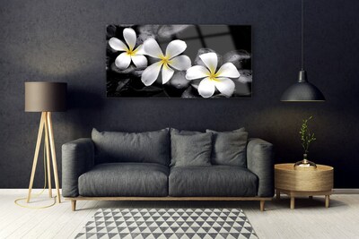 Quadro vetro Pianta di fiori di plumeria