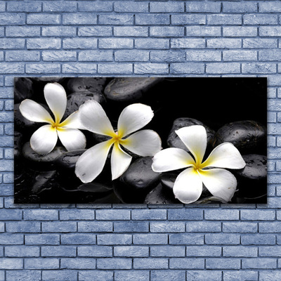 Quadro vetro Pianta di fiori di plumeria