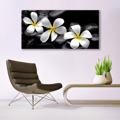 Quadro vetro Pianta di fiori di plumeria