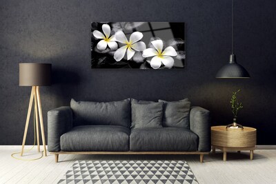 Quadro vetro Pianta di fiori di plumeria