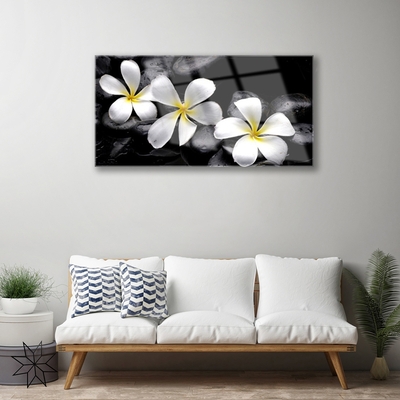 Quadro vetro Pianta di fiori di plumeria