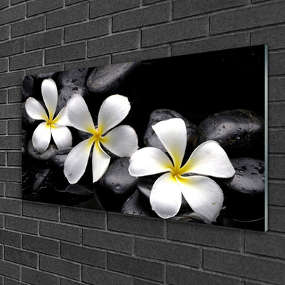 Quadro vetro Pianta di fiori di plumeria