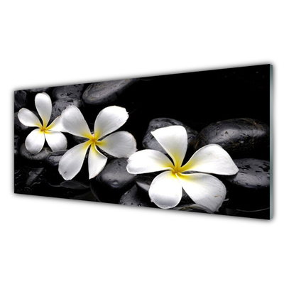 Quadro vetro Pianta di fiori di plumeria