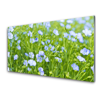 Quadro vetro Fiori Erba Pianta Natura