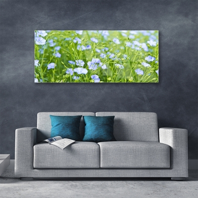 Quadro vetro Fiori Erba Pianta Natura