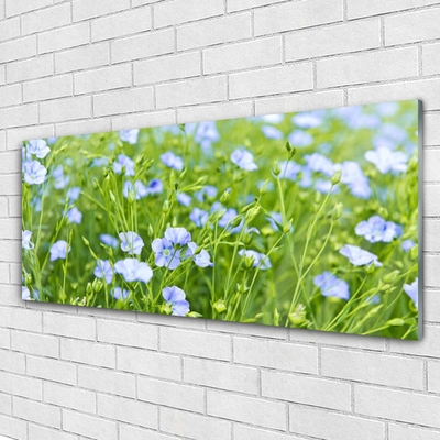 Quadro vetro Fiori Erba Pianta Natura