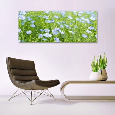 Quadro vetro Fiori Erba Pianta Natura