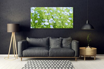 Quadro vetro Fiori Erba Pianta Natura