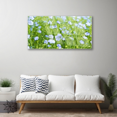 Quadro vetro Fiori Erba Pianta Natura