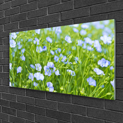 Quadro vetro Fiori Erba Pianta Natura