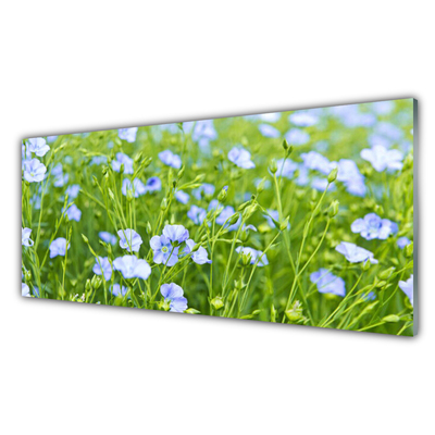 Quadro vetro Fiori Erba Pianta Natura