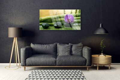 Quadro di vetro Pietre di fiori Bambù Natura