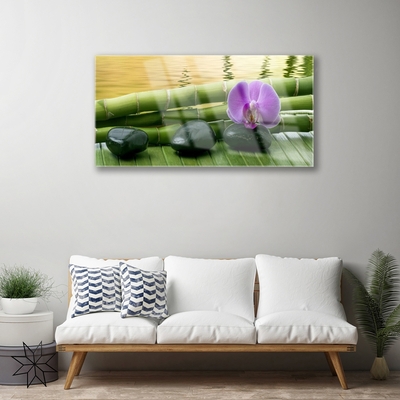 Quadro di vetro Pietre di fiori Bambù Natura