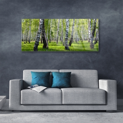 Quadro di vetro Foresta Alberi Natura