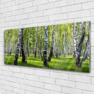 Quadro di vetro Foresta Alberi Natura