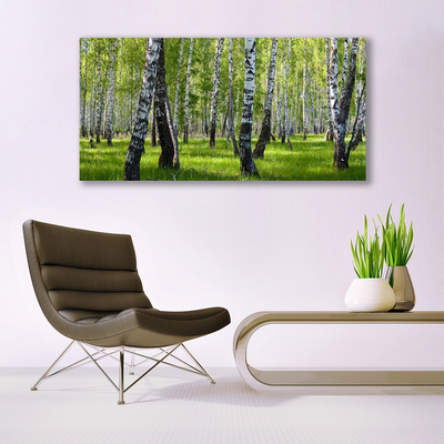 Quadro di vetro Foresta Alberi Natura