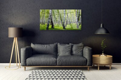 Quadro di vetro Foresta Alberi Natura