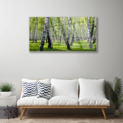 Quadro di vetro Foresta Alberi Natura