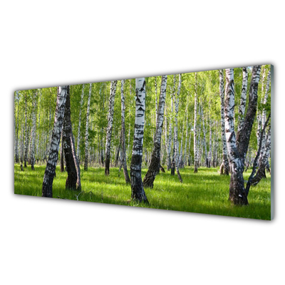 Quadro di vetro Foresta Alberi Natura