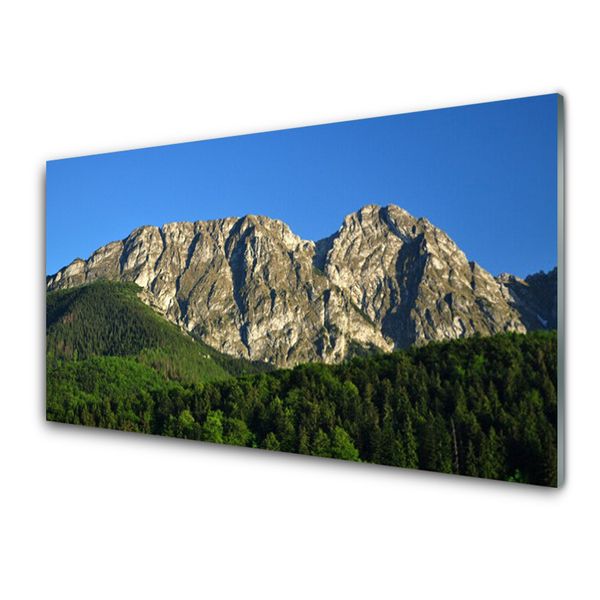 Quadro vetro Montagna Foresta Natura