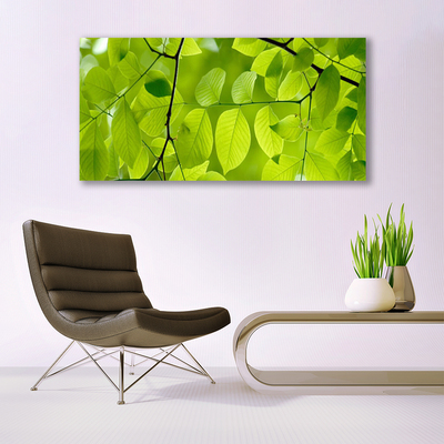 Quadro vetro Foglia Natura Pianta