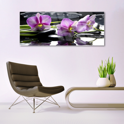 Quadro in vetro Pianta di orchidea da fiore