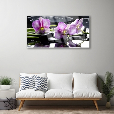 Quadro in vetro Pianta di orchidea da fiore