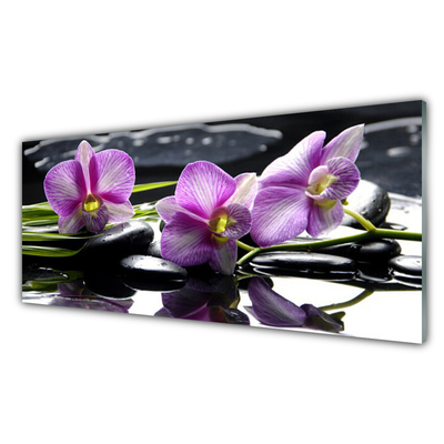 Quadro in vetro Pianta di orchidea da fiore