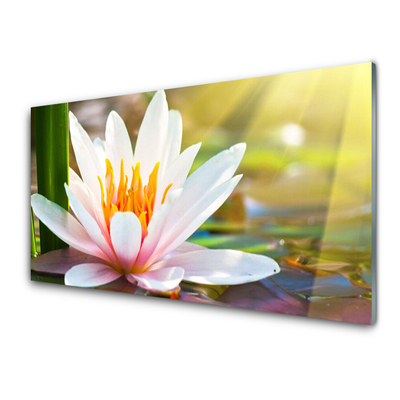 Quadro in vetro Fiori Pianta naturale