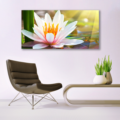 Quadro in vetro Fiori Pianta naturale