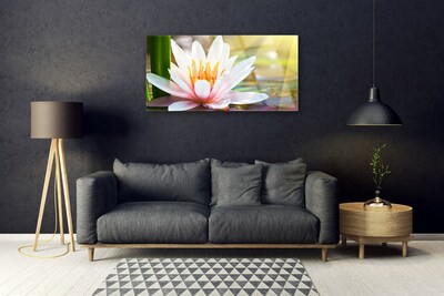 Quadro in vetro Fiori Pianta naturale