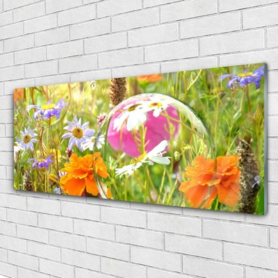 Quadro in vetro Fiori Pianta naturale