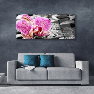 Quadro in vetro Pietre di fiori Orchidea