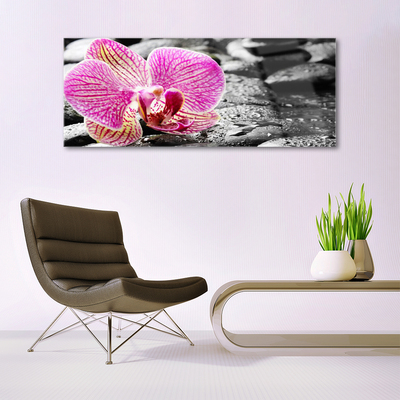 Quadro in vetro Pietre di fiori Orchidea