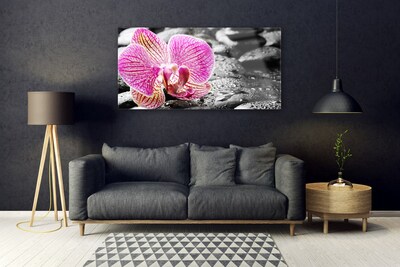 Quadro in vetro Pietre di fiori Orchidea